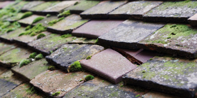 Pevensey roof repair costs